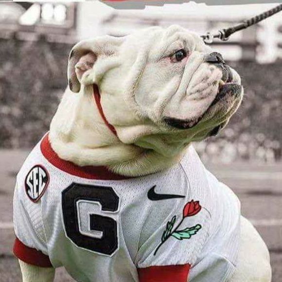 Meet your Posher, Connie - Picture 1 of 1